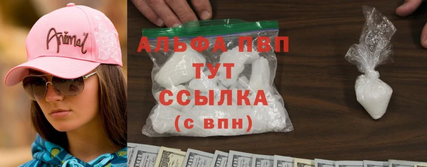 твердый Козельск