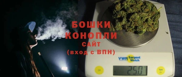 твердый Козельск