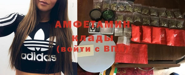твердый Козельск