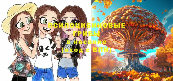 дживик Киреевск