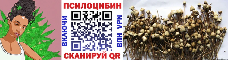 Купить  Себеж  Галлюциногенные грибы прущие грибы 